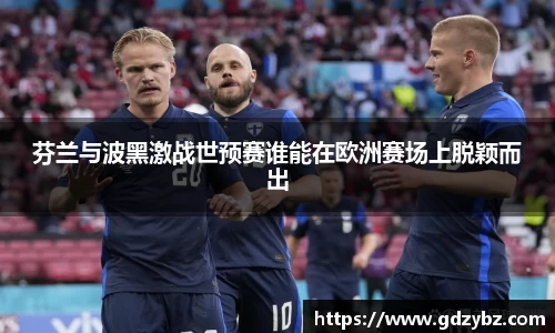 芬兰与波黑激战世预赛谁能在欧洲赛场上脱颖而出