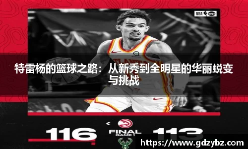 特雷杨的篮球之路：从新秀到全明星的华丽蜕变与挑战